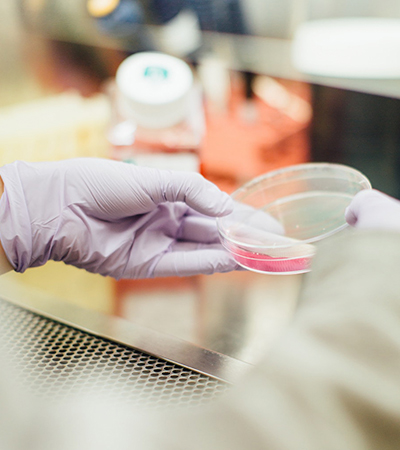 研发中心简史及成就